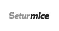 Setur Mice